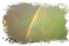 index.html